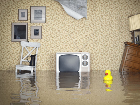 flooded basement in mendota, il